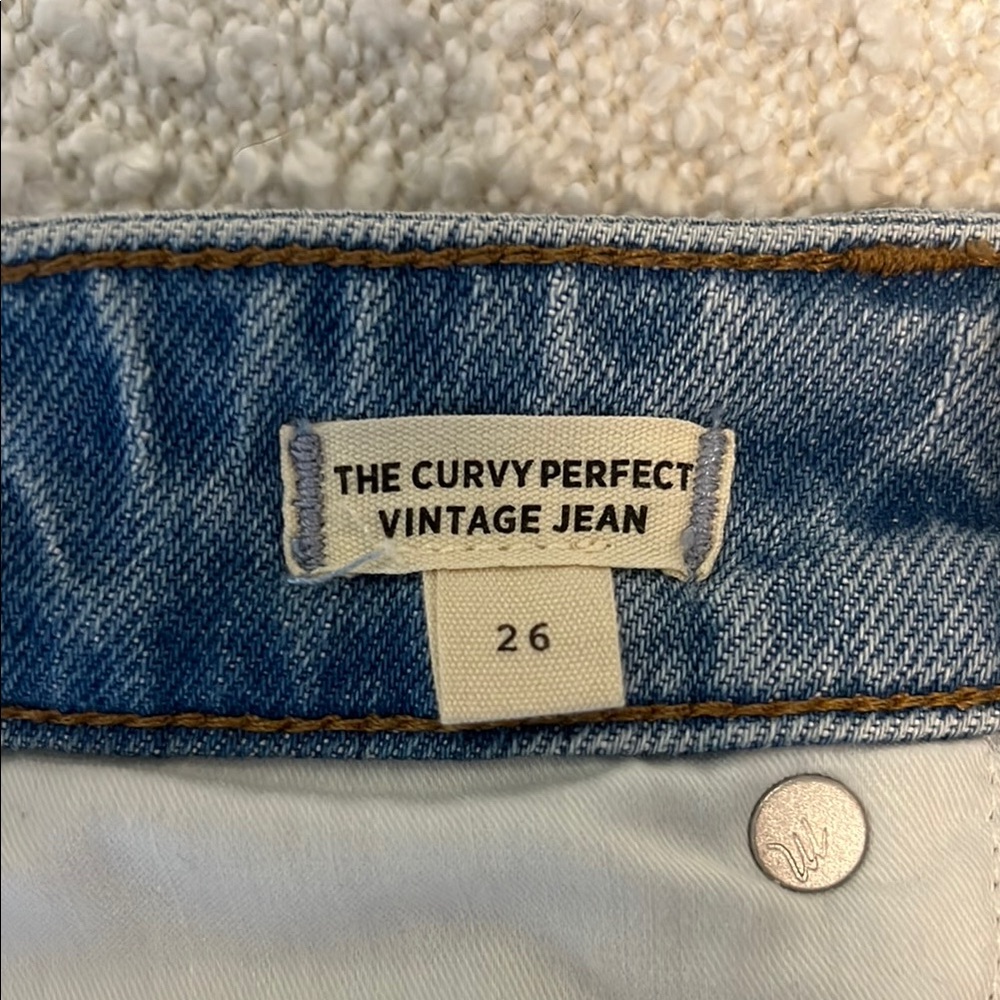 NWOT Madewell The Curvy Perfect Vintage Jean in light blue  size 26 - Picture 3 of 10